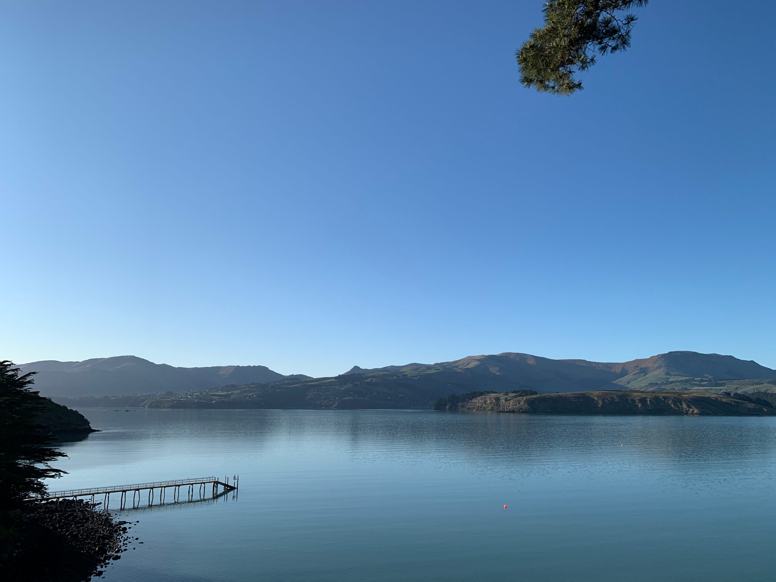 Whakaraupō Harbor